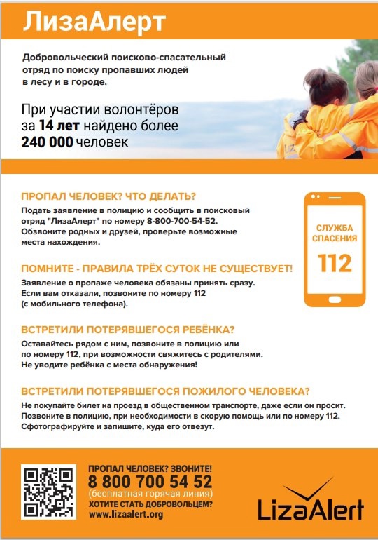лиза алерт.jpeg